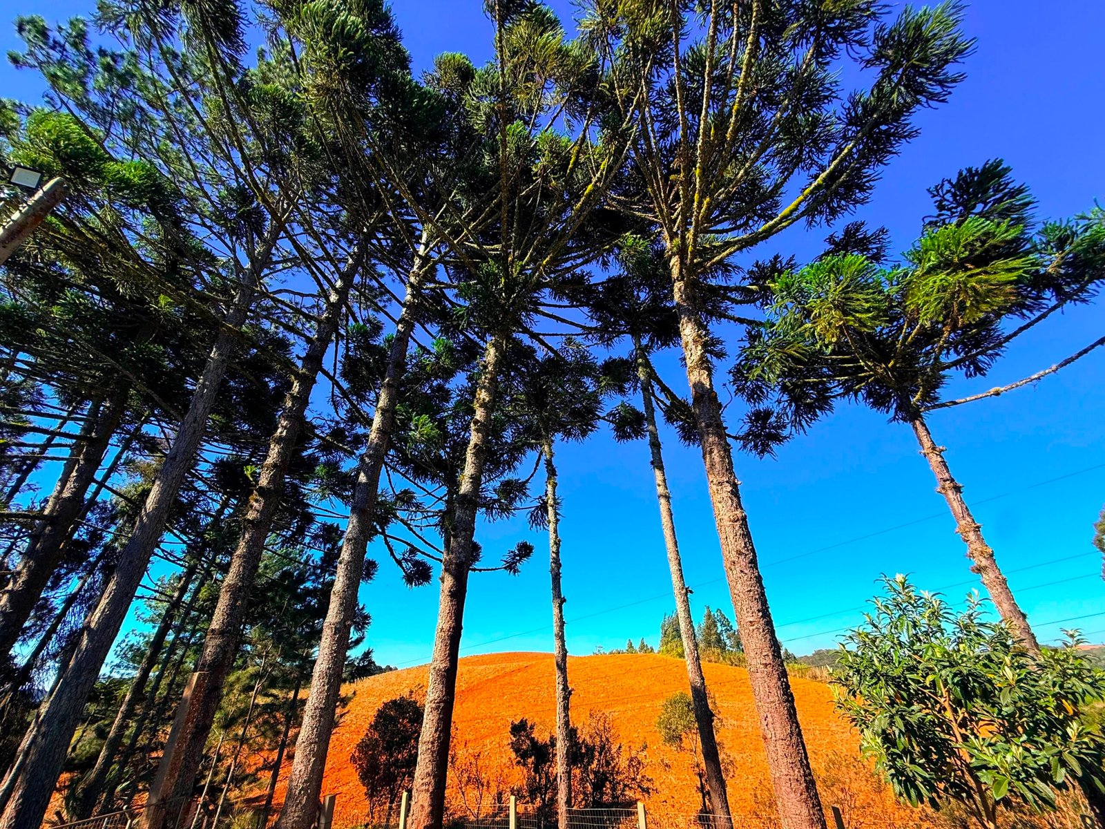 casa-de-campo-chacara-sao-bento-do-sul-agudos-do-sul
